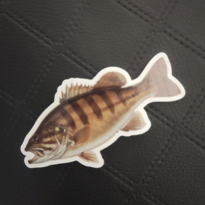 Premium vinyl die cut sticker from InkBird Print Studio features a brown fish with bold dark stripes on black diamond-patterned backing. Printed for Good Days Marina
