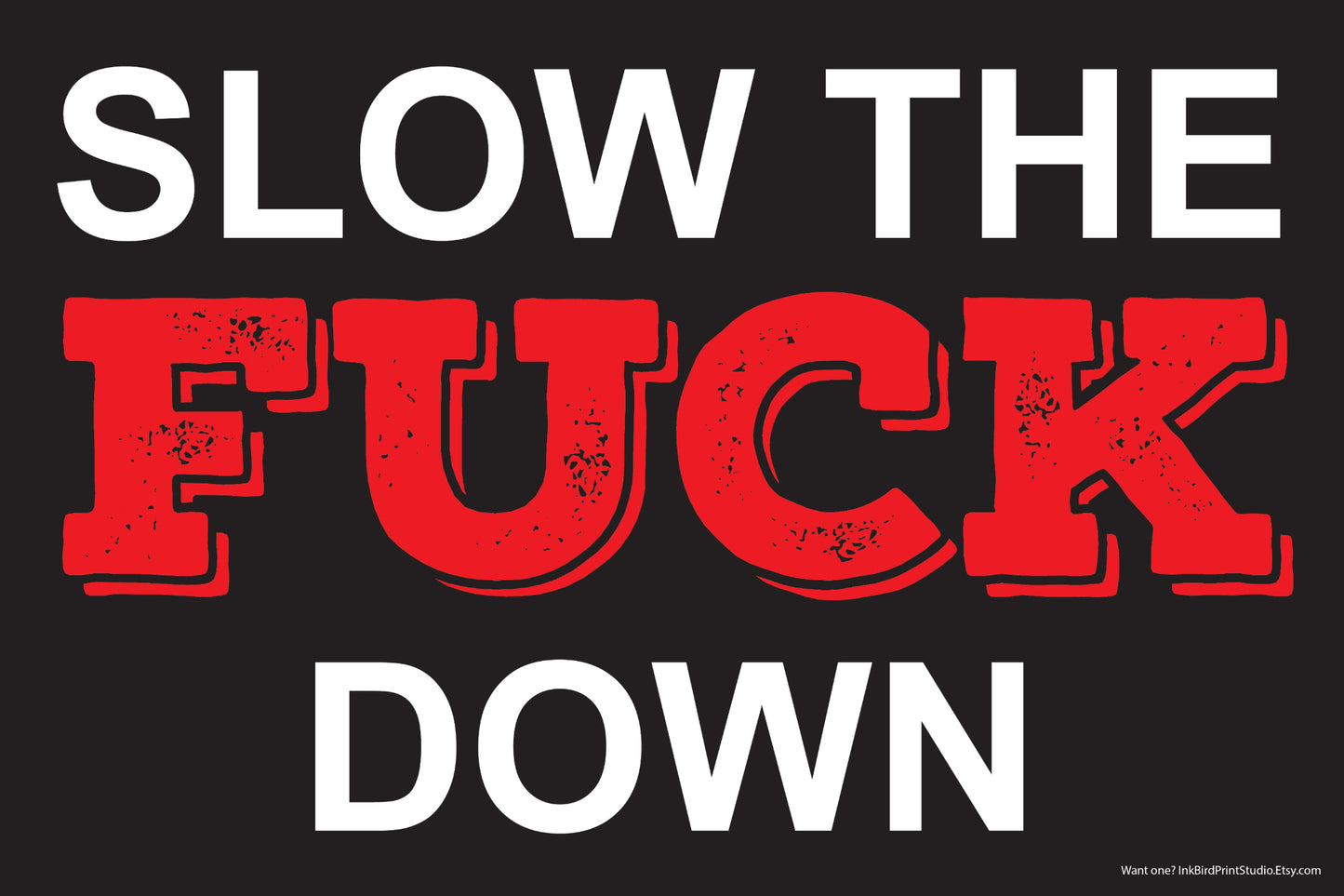 18x24 vinyl yard sign by InkBird Print Studio, black with bold white and distressed red text: Slow The Fuck Down, uncensored